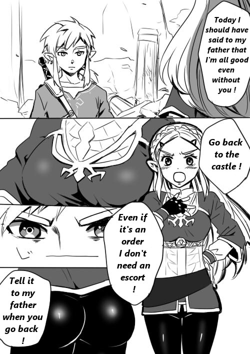 Link to Zelda no Shoshinsha ni Yasashii Sex Nyuumon | Here is a little lesson about Link and Zelda's relation page 2 full
