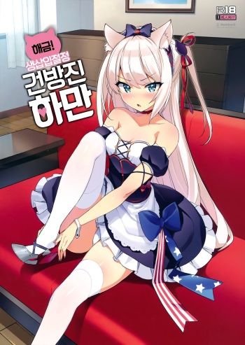 (C93) [Number2 (Takuji)] Kaikin! Namaiki Haman | 해금! 생삽입잘정 건방진 하만 (Azur Lane) [Korean] cover
