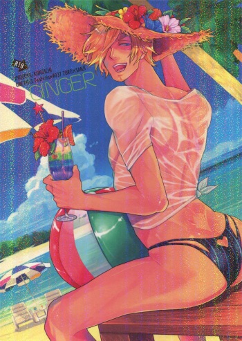 (C88) [Kyozoya (Kunoichi)] GINGER (One Piece) cover