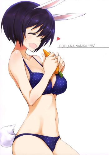 (C93) [Okotan Pekoe (Kurashima Tomoyasu)] IROIRO-NA-NANIKA. "BW" (Brave Witches) cover